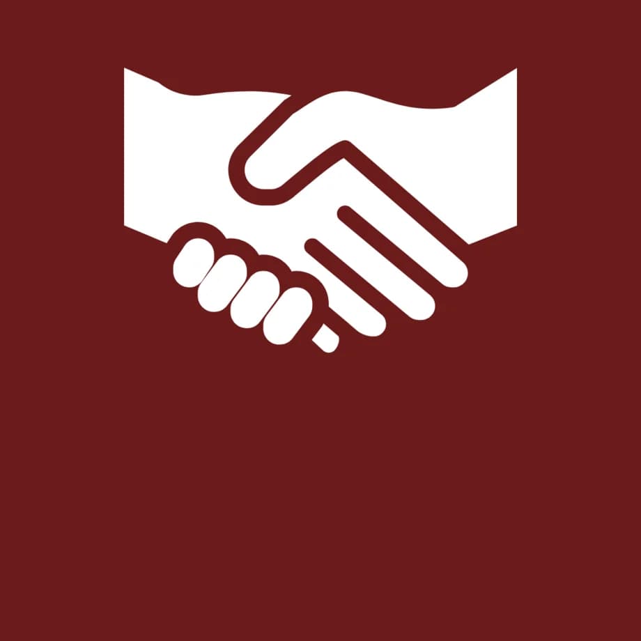 Advocacy Politischer Vorstoss