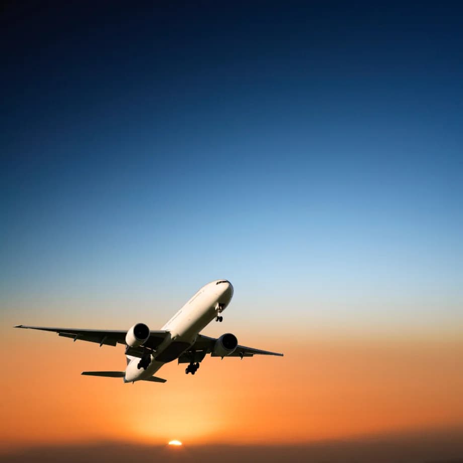 Online Mobilisierung und Campaigning