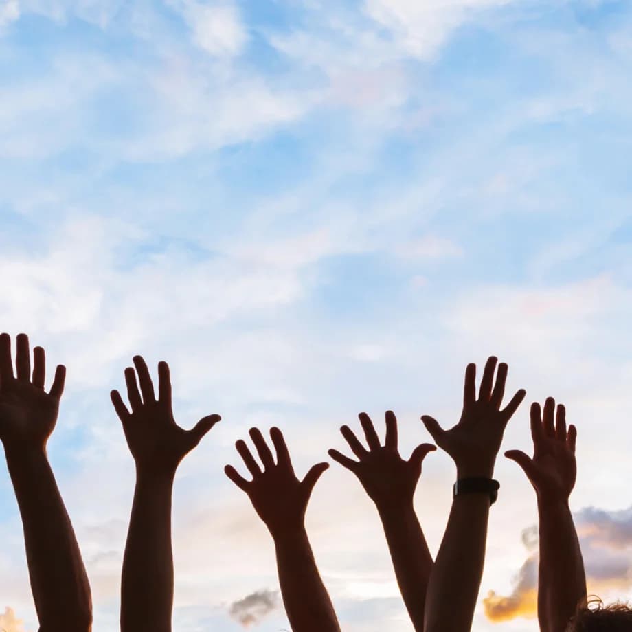 Organisations- Entwicklung & Campaigning-Beratung