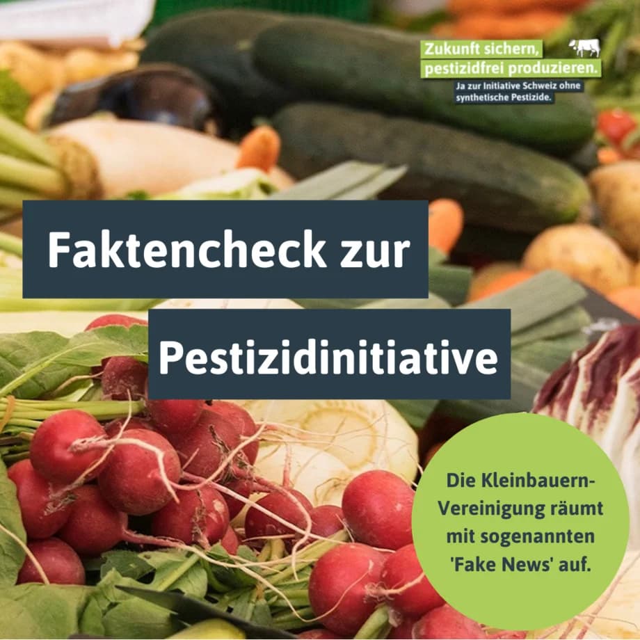 Social Media-Kampagne