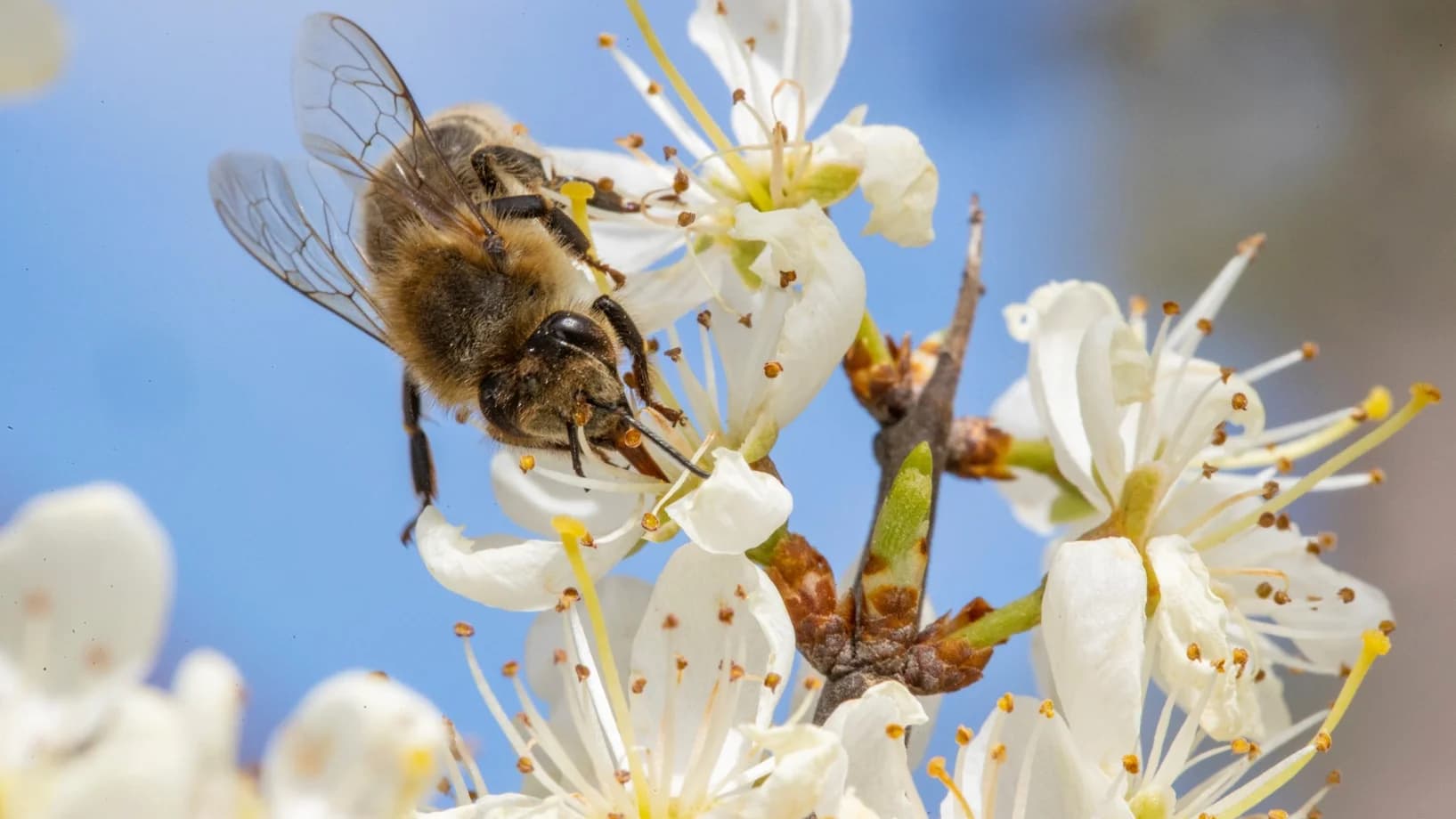 Umsetzungs- Unterstützung