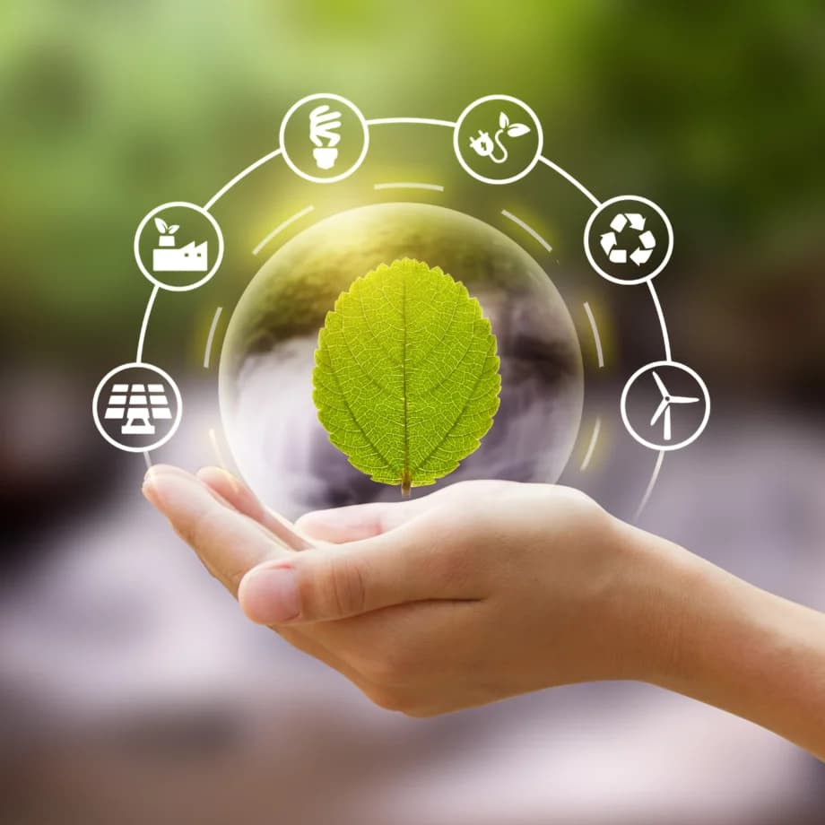 Workshops & Organisations- Strategie